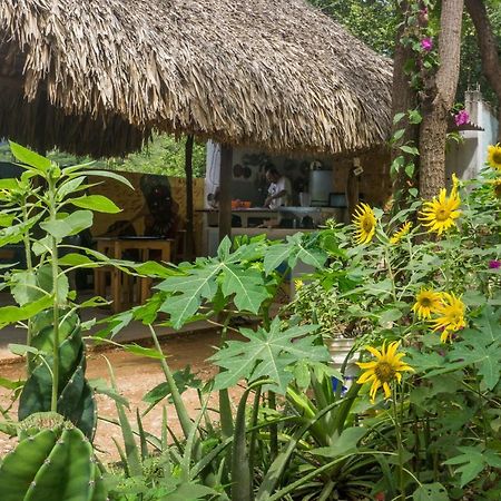 Hostel Hipilandia Taganga Luaran gambar