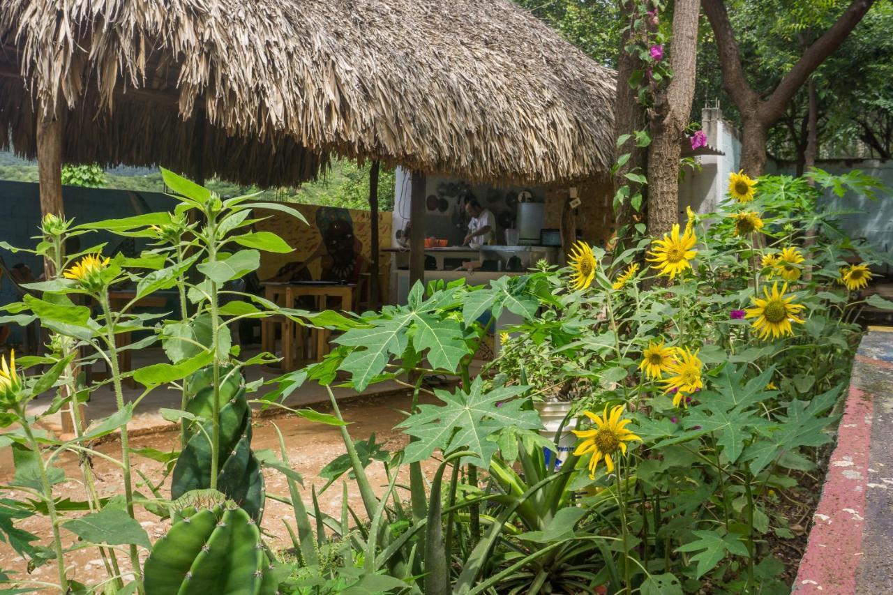 Hostel Hipilandia Taganga Luaran gambar